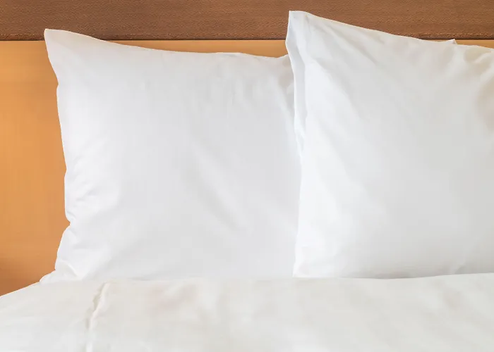 Hotel Express Centre By Ihg 3*