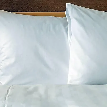 Express Centre By Ihg Hotell 3*